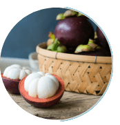 Mangosteen Powder