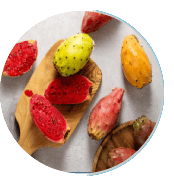 Prickly Pear Extract